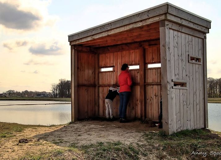 Guest house 526705 - Holiday property Twente - Vakantiehuisje in Bornerbroek