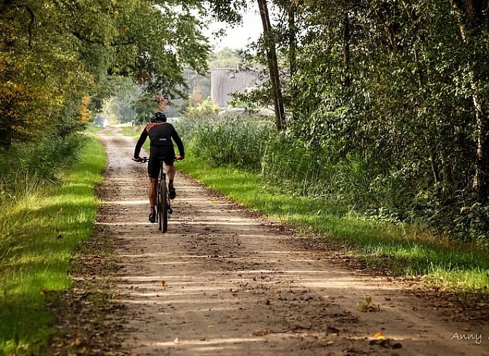 Cozy interior of cottage in Bornerbroek, Twente, with wooden interior and comfortable seating area.