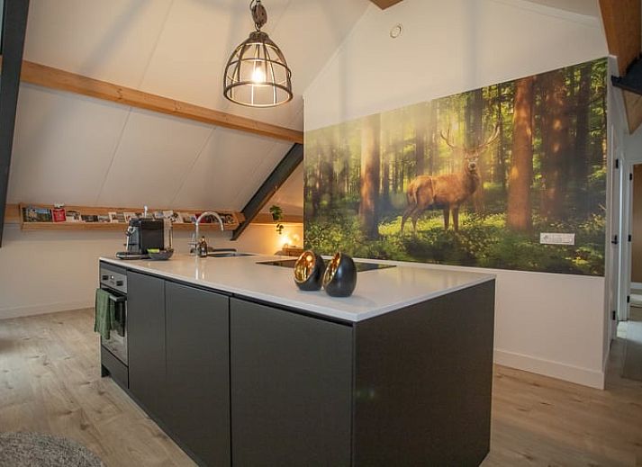 Guest house 526707 • Holiday property Twente • Huisje in Bornerbroek