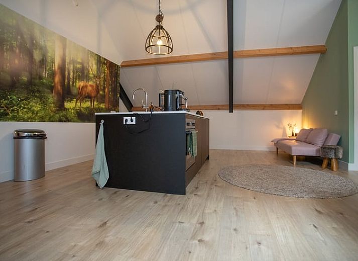 Unterkunft 526707 - Ferienhaus Twente - Huisje in Bornerbroek