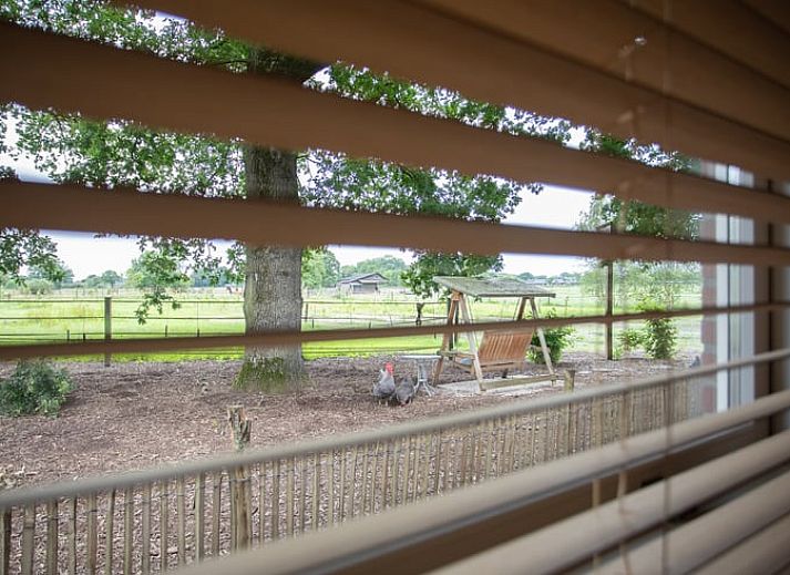 Unterkunft 526707 - Ferienhaus Twente - Huisje in Bornerbroek