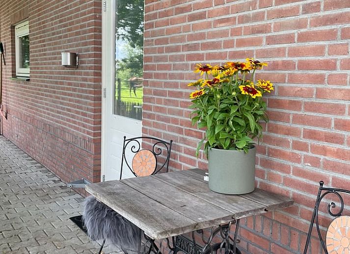 Unterkunft 526707 - Ferienhaus Twente - Huisje in Bornerbroek