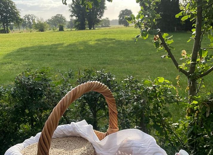Sfeervol pad naar Vakantiehuisje in Bornerbroek, Twente, Overijssel omgeven door groene natuur.