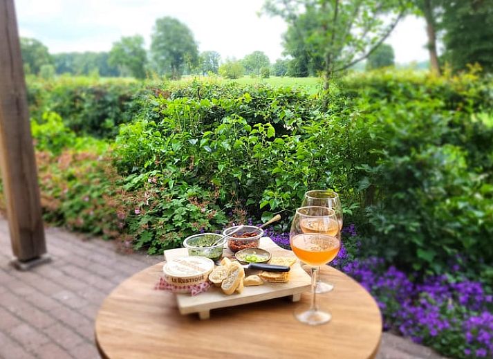 Sfeervol pad naar Vakantiehuisje in Bornerbroek, Twente, Overijssel omgeven door groene natuur.