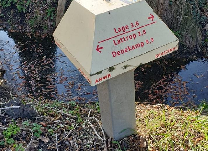 Sonniger Tag im Ferienhaus in Lattrop-Breklenkamp mit Terrasse in Twente, Overijssel.