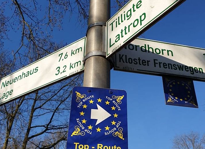 Sonniger Tag im Ferienhaus in Lattrop-Breklenkamp mit Terrasse in Twente, Overijssel.
