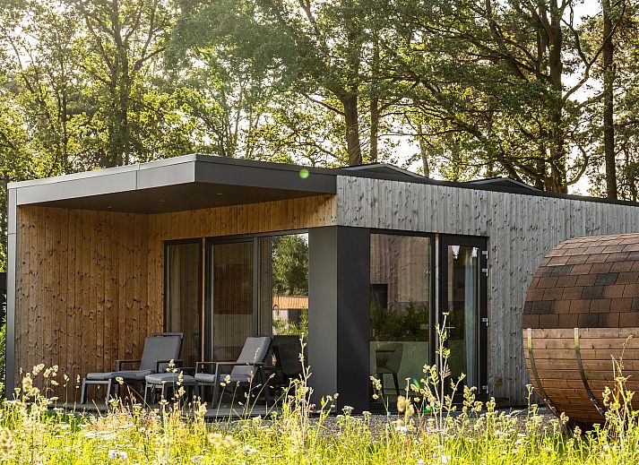 Gezellige woonkamer in Vakantievilla Amalia 2 Deluxe, Lattrop-Breklenkamp, Twente, met uitzicht op de natuur.