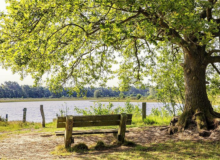 Moderne badkamer in Vakantievilla Amalia 2 Deluxe, Lattrop-Breklenkamp, Twente, voorzien van luxe voorzieningen.