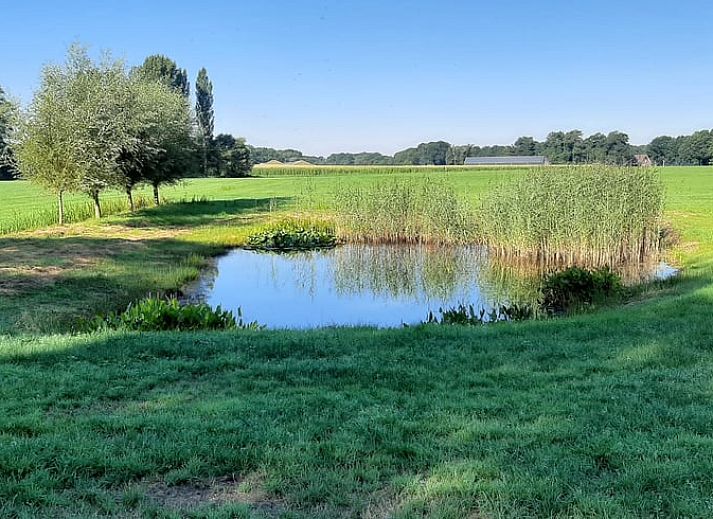 Autumn colors surround Holiday home in Lattrop Breklenkamp, beautifully located in Twente, Overijssel.