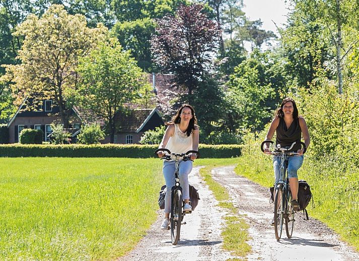 Unterkunft 526832 - Ferienhaus Twente - Vakantievilla Amalia