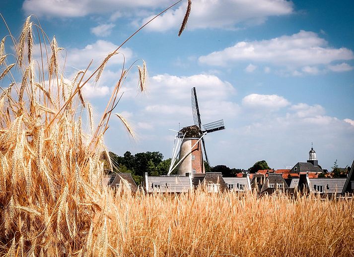 Unterkunft 526847 - Ferienhaus Twente - Boslodge met hottub & sauna | 6 pers