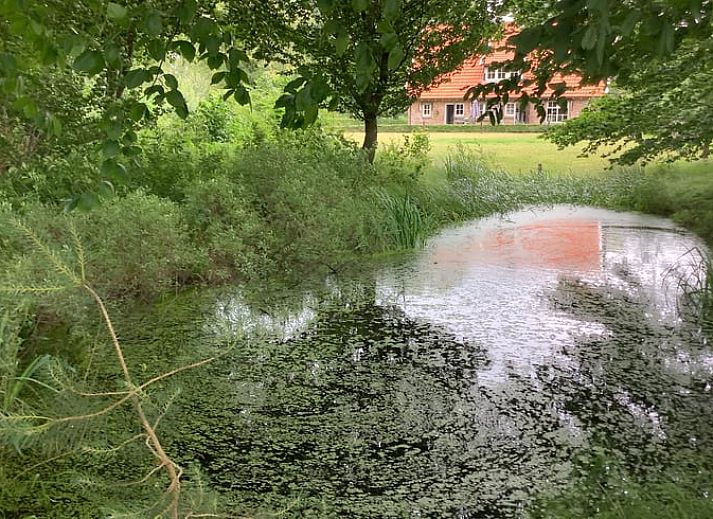 Guest house 526901 - Holiday property Twente - Vakantiehuisje in breklenkamp