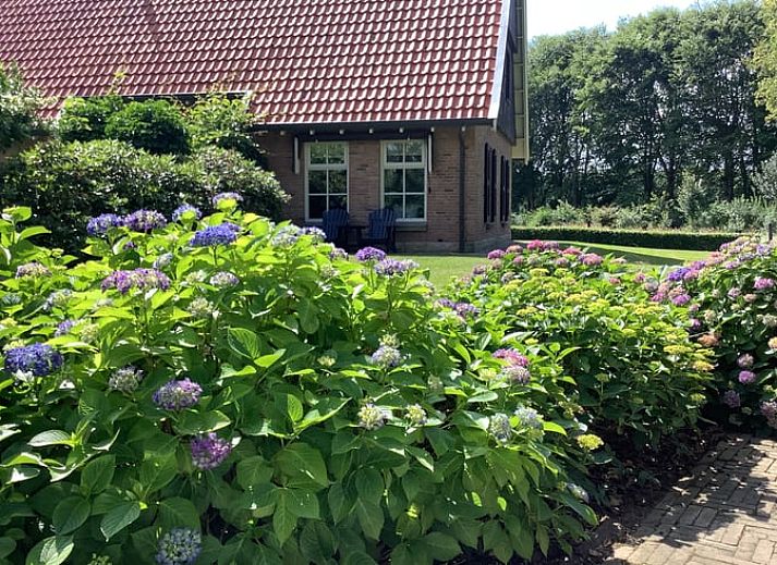 Guest house 526901 - Holiday property Twente - Vakantiehuisje in breklenkamp