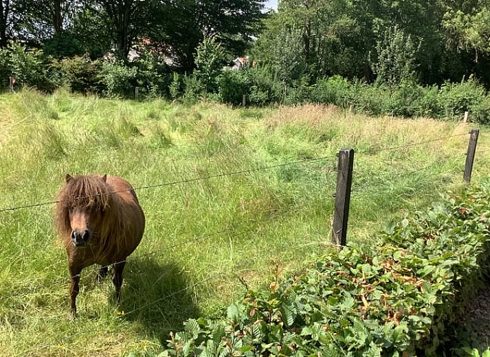 Guest house 526901 - Holiday property Twente - Vakantiehuisje in breklenkamp