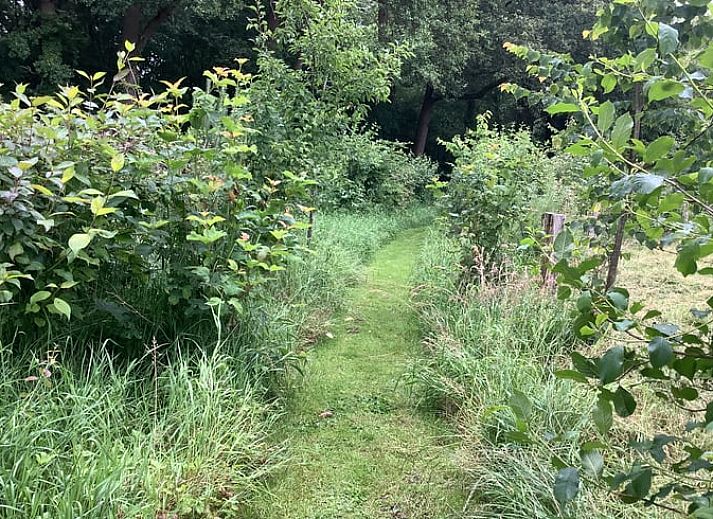 Guest house 526901 - Holiday property Twente - Vakantiehuisje in breklenkamp