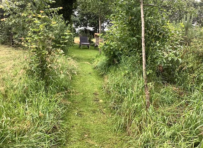 Guest house 526901 - Holiday property Twente - Vakantiehuisje in breklenkamp