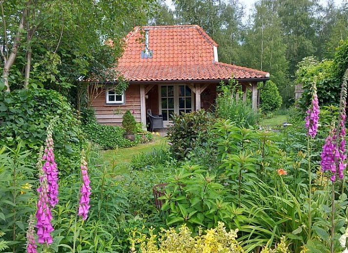 Guest house 527202 • Holiday property Twente • Huisje in Vriezenveen