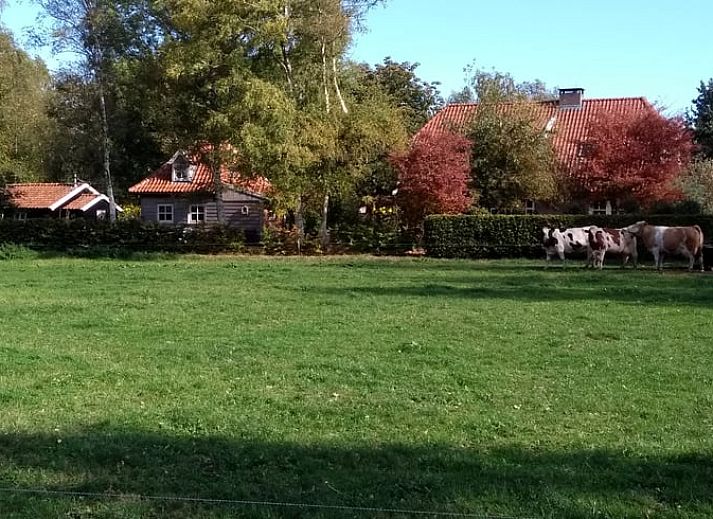 Unterkunft 527202 - Ferienhaus Twente - Huisje in Vriezenveen