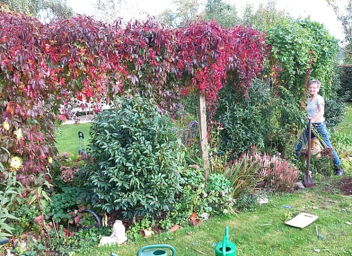 Unterkunft 527202 - Ferienhaus Twente - Huisje in Vriezenveen