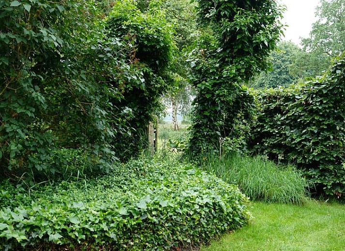 Unterkunft 527202 - Ferienhaus Twente - Huisje in Vriezenveen