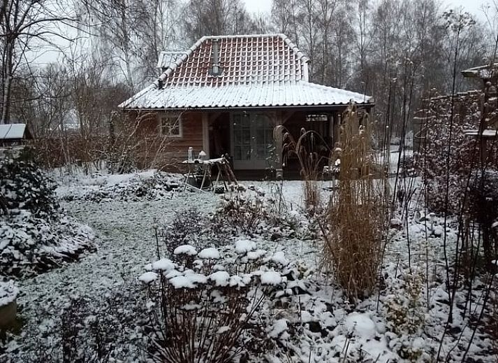 Unterkunft 527202 - Ferienhaus Twente - Huisje in Vriezenveen