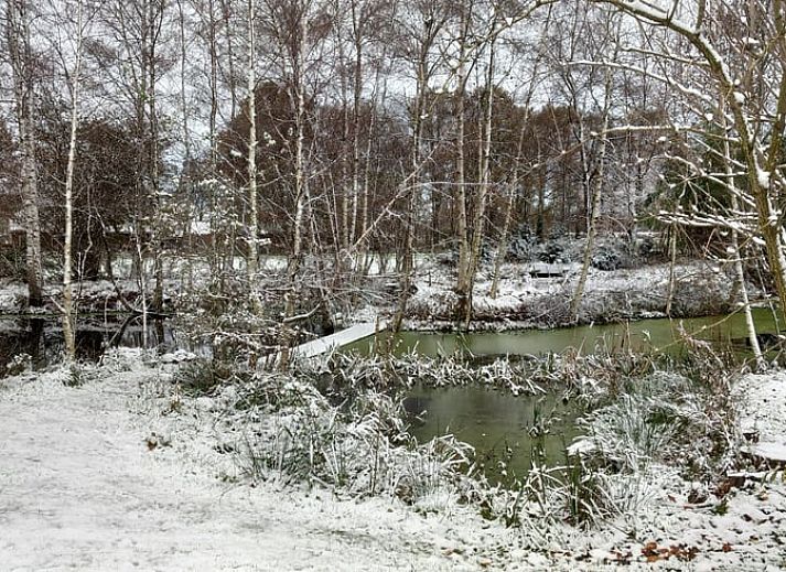 Unterkunft 527202 - Ferienhaus Twente - Huisje in Vriezenveen