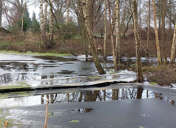Unterkunft 527202 - Ferienhaus Twente - Huisje in Vriezenveen