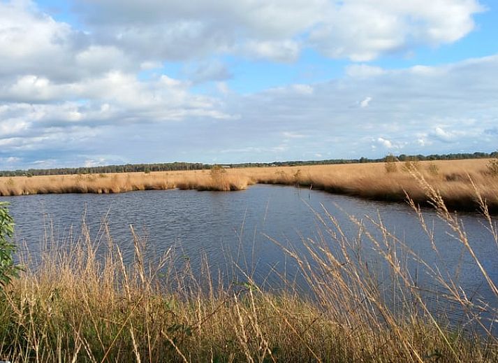 Unterkunft 527202 - Ferienhaus Twente - Huisje in Vriezenveen