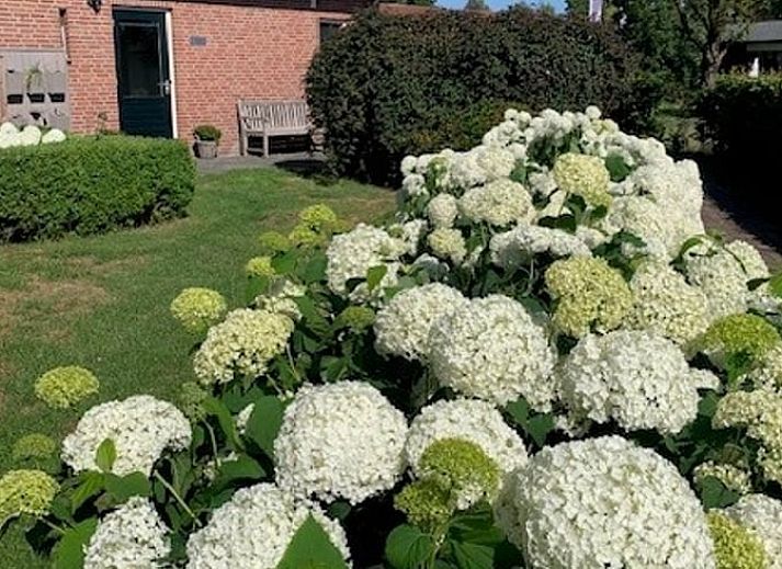Gezellige woonkamer in Vakantiehuis in De Pollen, Vriezenveen, Twente, met moderne inrichting.