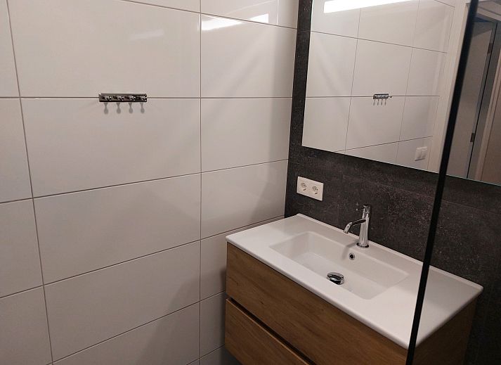 Stilvolles Badezimmer im Ferienhaus OV657 in Hertme, Twente, mit modernem Waschbecken und Dekoration.