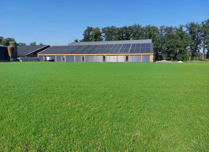 Gemuetlicher Innenbereich des Ferienhauses OV657 in Hertme, Twente mit Esstisch aus Holz und Pflanzen.