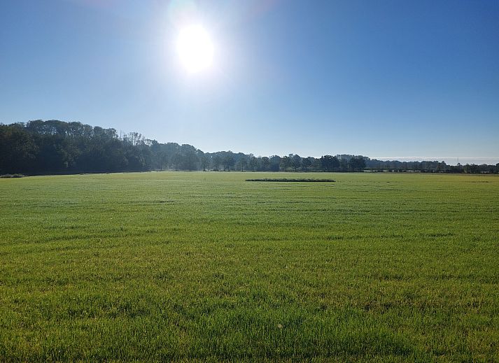 Gemuetlicher Innenbereich des Ferienhauses OV657 in Hertme, Twente mit Esstisch aus Holz und Pflanzen.