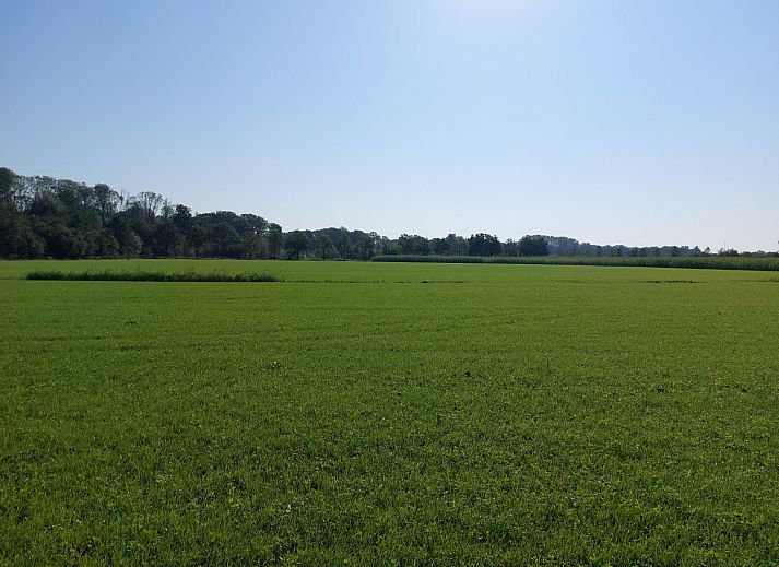 Schoene gruene Wiese rund um das Ferienhaus OV657 in Hertme, Twente.