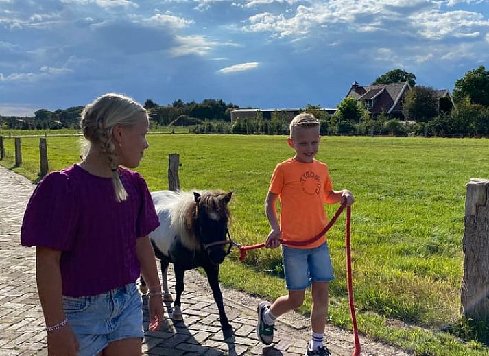 Entdecken Sie das Haus in Langeveen, ein charmantes Ferienhaus in Twente, Overijssel, mit einer laendlichen Umgebung und kinderfreundlicher Atmosphaere.