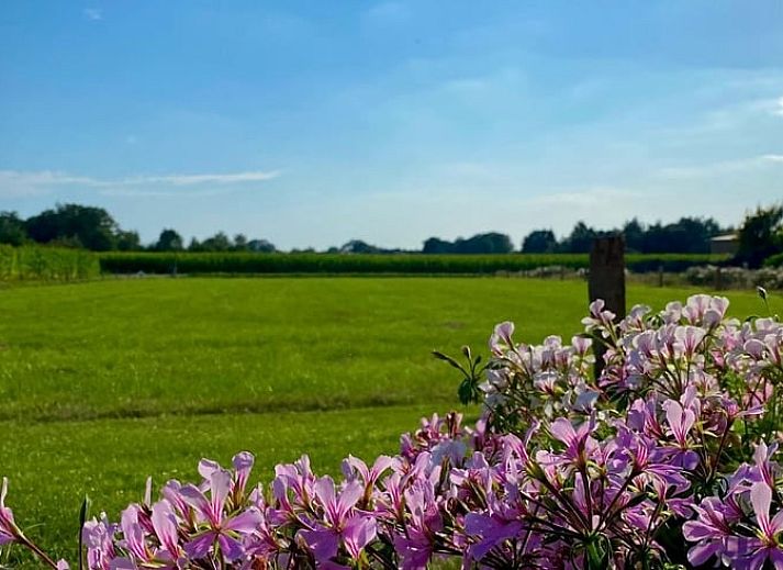 Geniessen Sie die ruhige Aussicht auf die Natur im Huisje in Langeveen, einem Ferienhaus im ruhigen Twente, Overijssel.