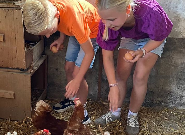 Geniessen Sie die ruhige Aussicht auf die Natur im Huisje in Langeveen, einem Ferienhaus im ruhigen Twente, Overijssel.