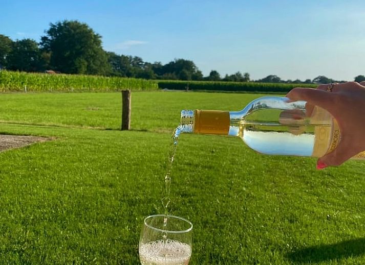Rustikales Ferienhaus Cottage in Langeveen, im gruenen Twente, Overijssel, mit herrlichem Blick auf die umliegende Natur.