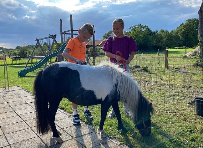Geniessen Sie die laendliche Umgebung im Huisje in Langeveen, einem Ferienhaus in Twente, Overijssel, mit Kindern und einem Pony auf einem sonnigen Weg.