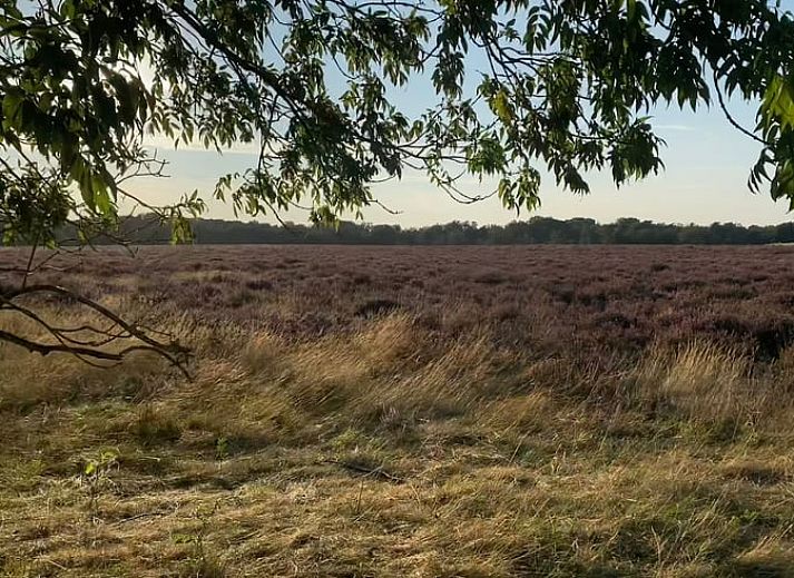 Gemuetlicher Innenbereich des Huisje in Langeveen, Ferienhaus in Twente, Overijssel, mit Blick auf die gruene Natur.