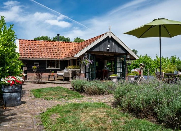 Charmantes Ferienhaus Cottage in Broekland mit Terrasse und Garten in Salland, Overijssel.