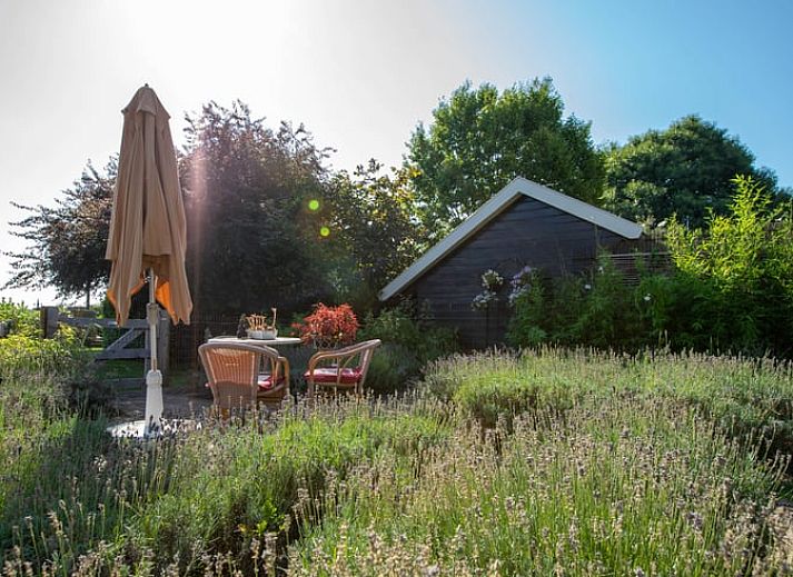 Rustikales Ferienhaus Cottage in Broekland mit gruener Umgebung in Salland, Overijssel.