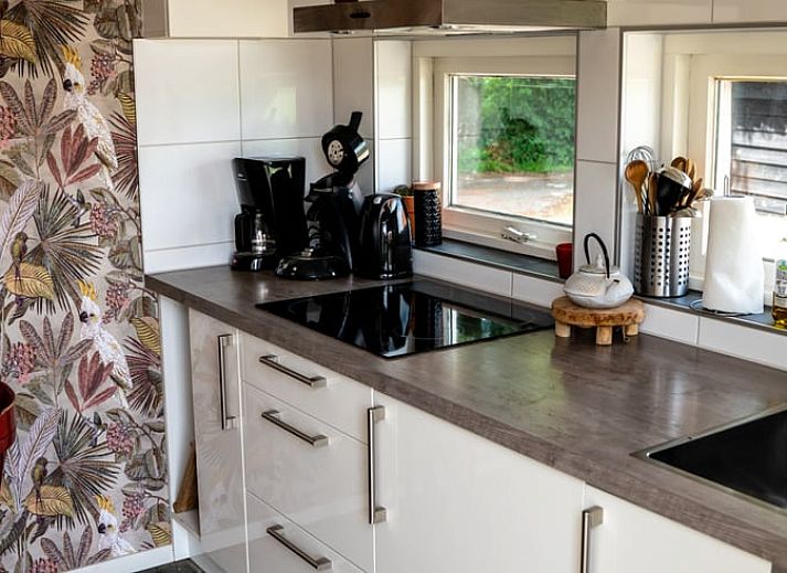 Ferienhaus in Broekland, umgeben von ueppiger Natur in Salland, Overijssel.