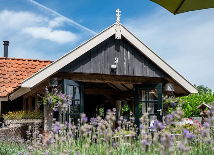 Veranda mit Blick auf die Felder im Ferienhaus in Broekland, Salland, Overijssel.