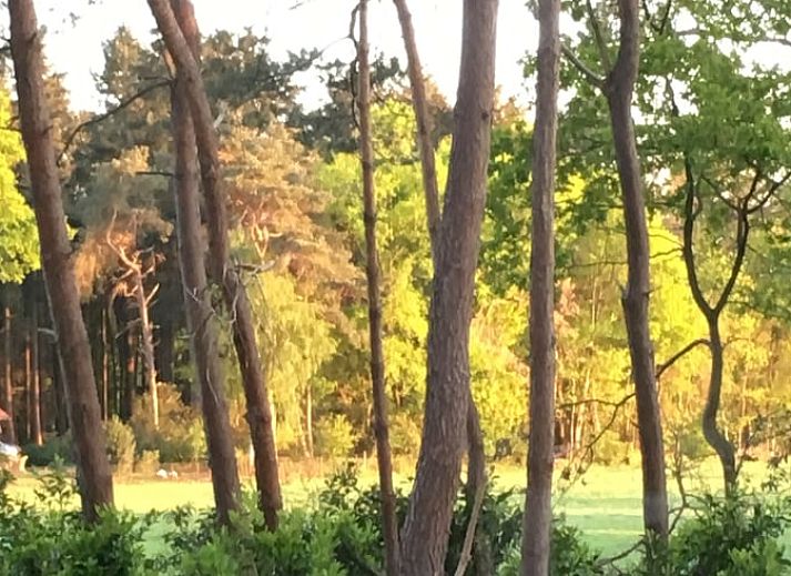 Unterkunft 5302100 - Ferienhaus Salland - Huisje in Holten