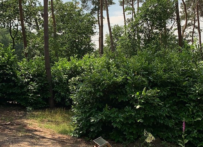 Unterkunft 5302100 - Ferienhaus Salland - Huisje in Holten