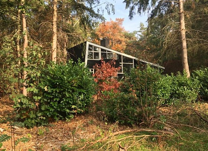 Unterkunft 5302100 - Ferienhaus Salland - Huisje in Holten