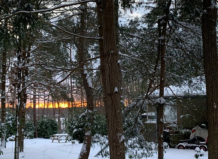 Unterkunft 5302100 - Ferienhaus Salland - Huisje in Holten