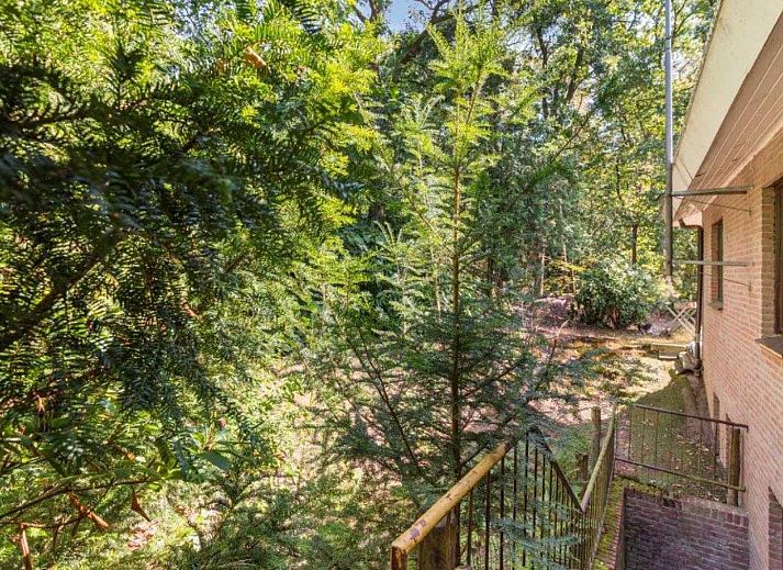 Unterkunft 5302101 - Ferienhaus Salland - OV581