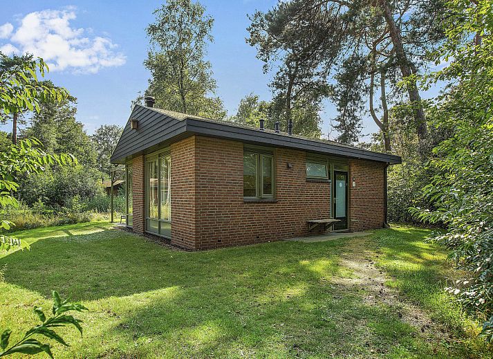 Twenhaarsveld 2-Personen-Bungalow 2L in Holten, Overijssel mit gruenem Garten und Waldgebiet.