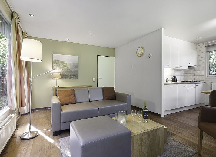 Gemuetliches Wohnzimmer mit Kamin in Twenhaarsveld 2-Personen-Bungalow 2L, Holten, Salland.